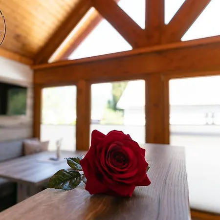 Apartament Mina&hansl Schladming