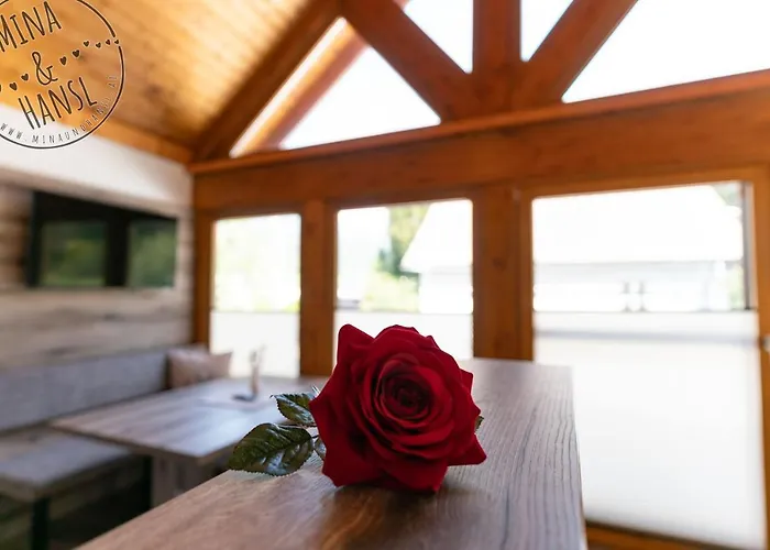 Apartamento Mina&hansl Schladming